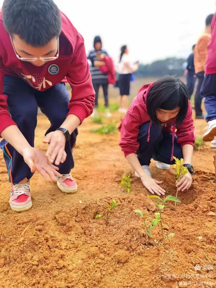 播种希望 向阳生长